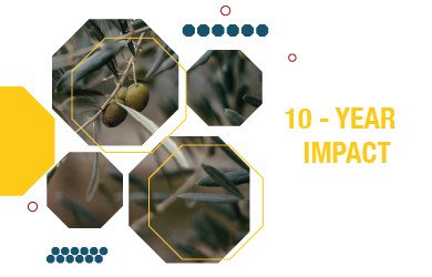 https://ahel.org/wp-content/uploads/2021/10/3-EN-Our-Impact-in-the-past-10-years-01.jpg