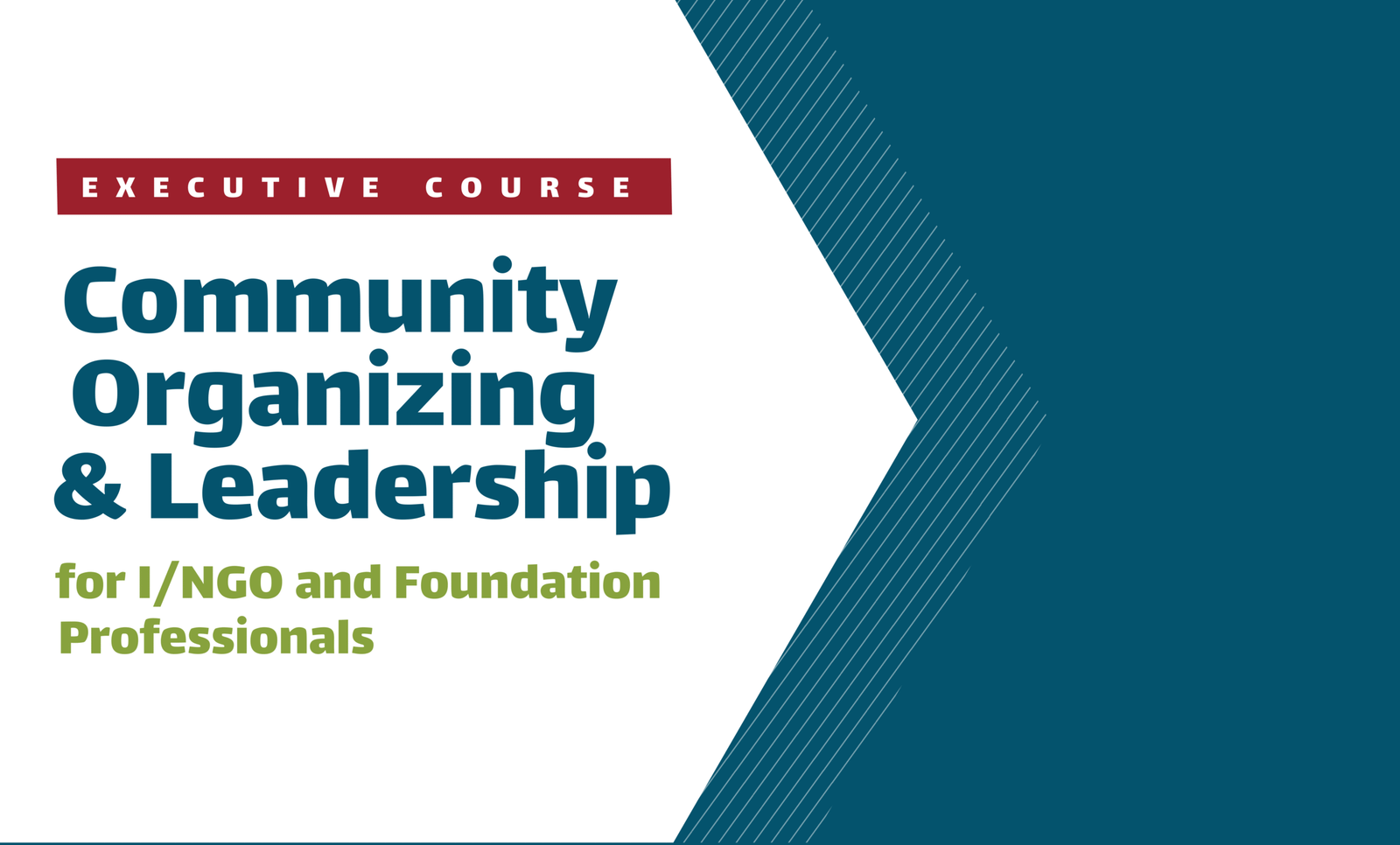 https://ahel.org/wp-content/uploads/2023/07/website-visual-executive-ourse-scaled.png